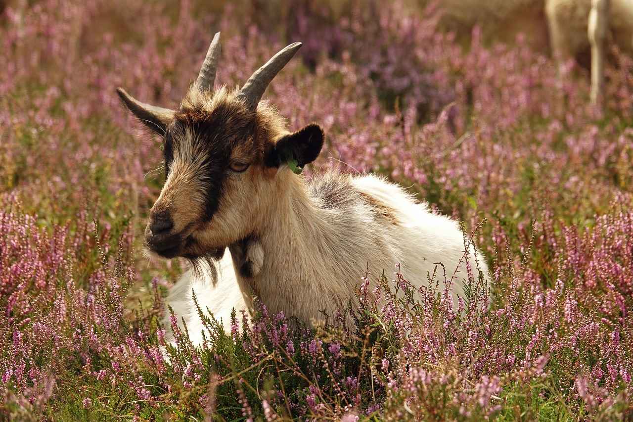 Trendlere Uygun Tesettür Stili