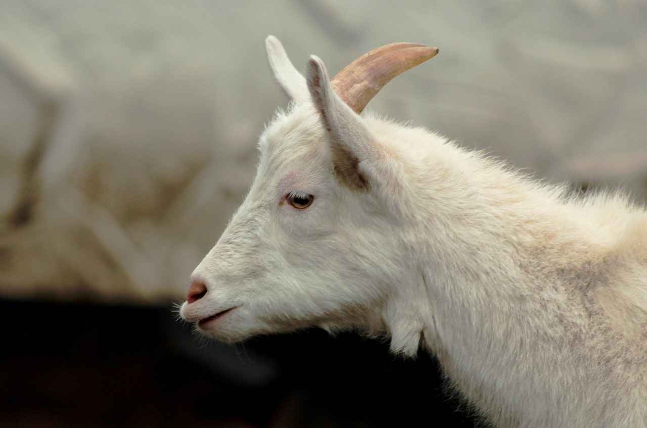 Tesettür Takımları ile Şıklığı Yakalayın! 1 Tesettür Takımları Nedir?