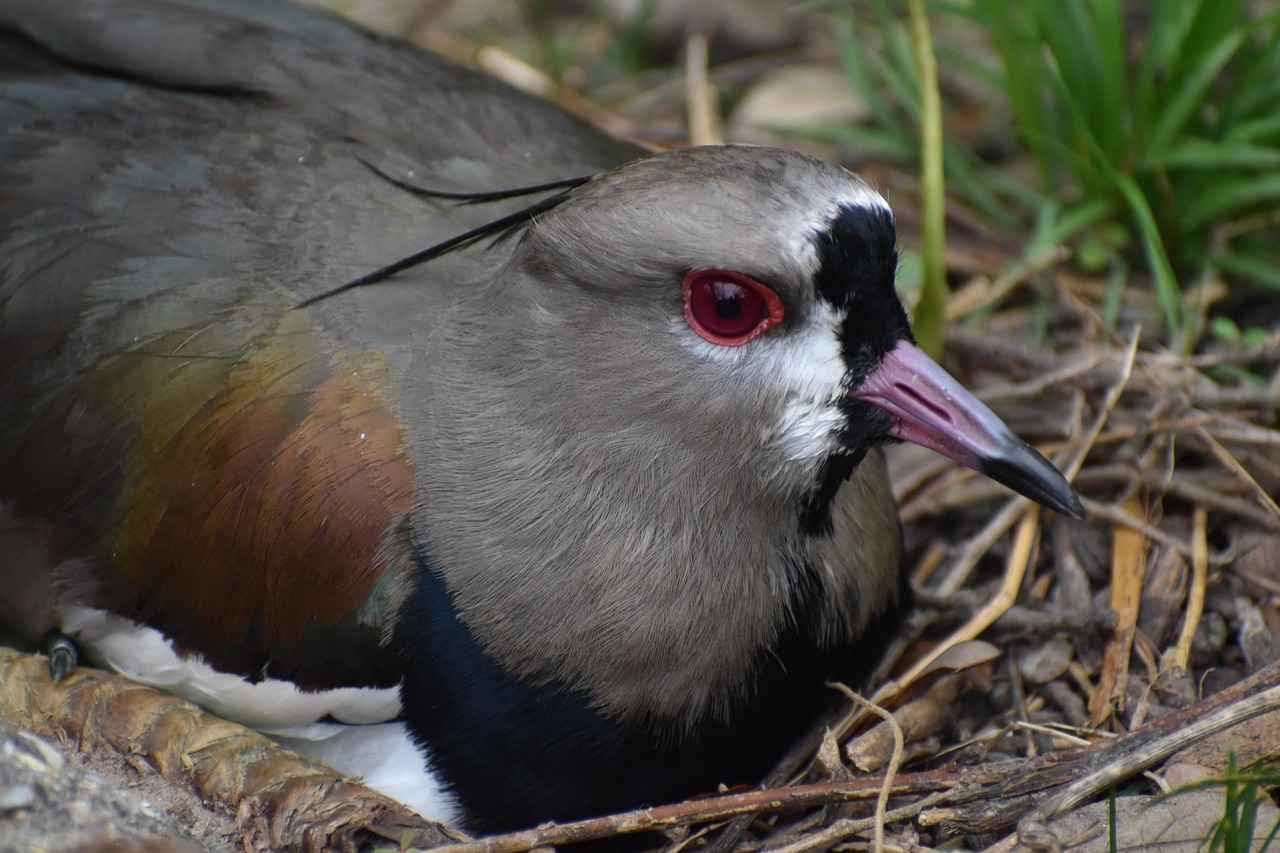Tesettür Takımlarında Sezonun En İyi Parçaları 1 2023 Tesettür Modasında Öne Çıkan Renkler
