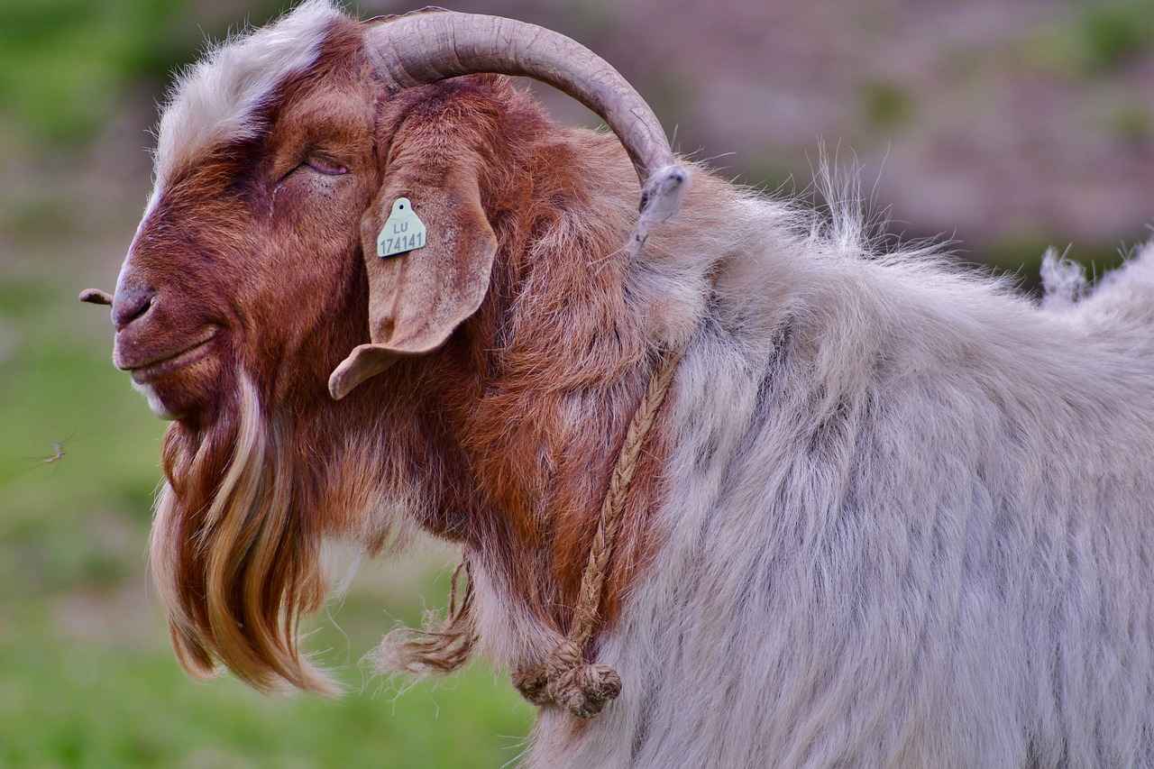 Stil İpuçları ve Öneriler