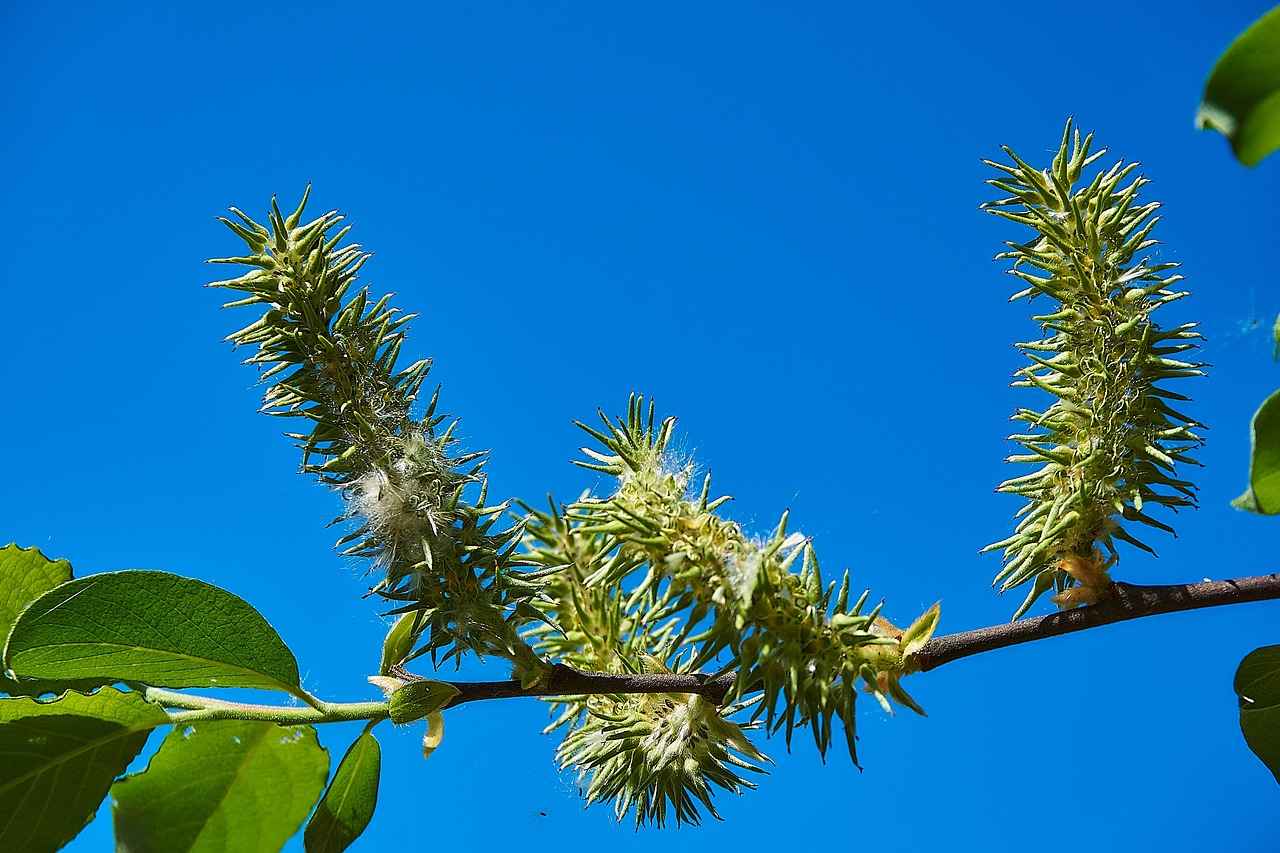 Tesettürde Aksesuar Kullanımı