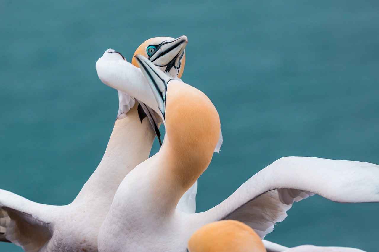 Tesettür Takımlarının Farklı Tarzları